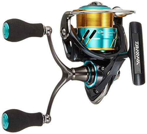 M*)様 ダイワ(DAIWA) スピニングリール 19 エメラルダス LT Amazon | ダイワ(DAIWA) スピニングリール 19 エメラルダス